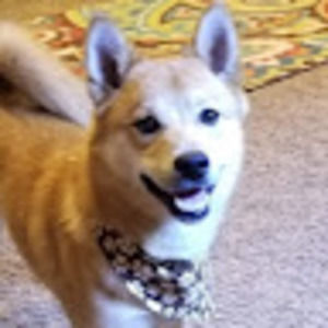 Meet your Posher, Wendy